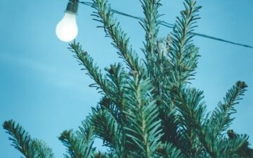 Chicago's Holiday Dating Guide